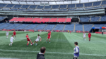 Gillette Stadium match is about more than just soccer